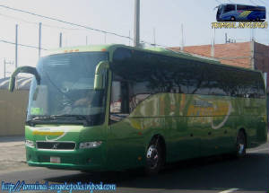 Autobuses Verdes Premium