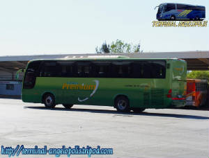 Autobuses Verdes Premium